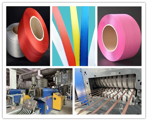 Fornecer máquina de extrusão de PP máquina de produção de fita de PP equipamento de linha de produção de PP para fita de 5-19mm de cor de PP